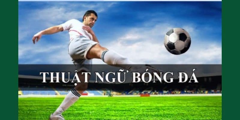Thuật ngữ cá độ bóng đá - Thông tin cập nhật mới nhất 8 Thuật ngữ cá độ bóng đá