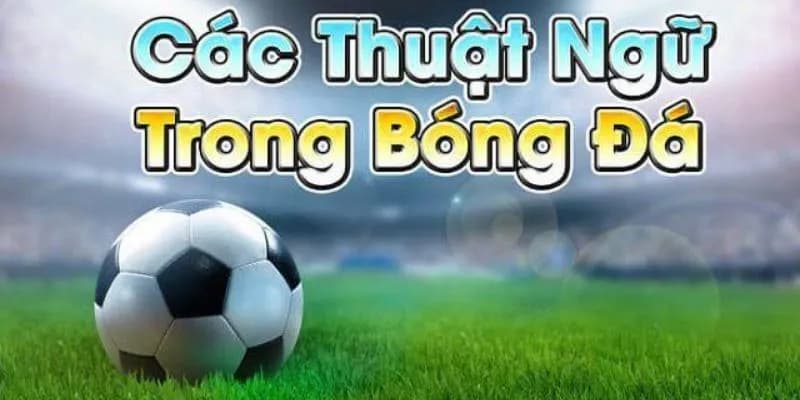 Thuật ngữ cá độ bóng đá
