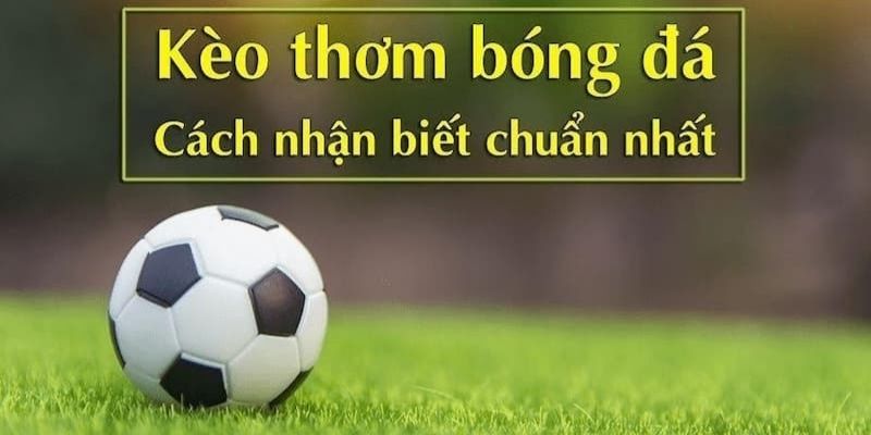 Những lưu ý giúp bạn nhận diện kèo thơm chuẩn nhất