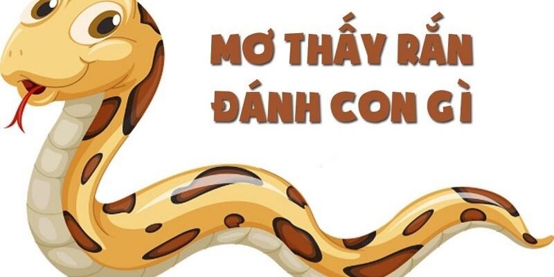 Tìm hiểu ý nghĩa của những giấc mơ liên quan đến rắn