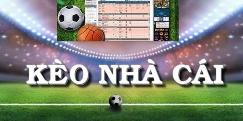 Cách Soi Kèo Nhà Cái Hiệu Quả Và Chính Xác Có Thể Bạn Chưa Biết 1 Bạn có thể tìm trận đấu để ra kèo nhà cái hiệu quả nhất