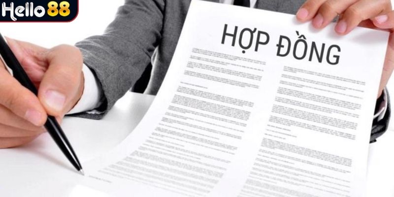 Điều Khoản và Điều Kiện Hello88: Quy Định Cần Biết 3 Nội dung liên quan đến quy định điều khoản điều kiện cá cược